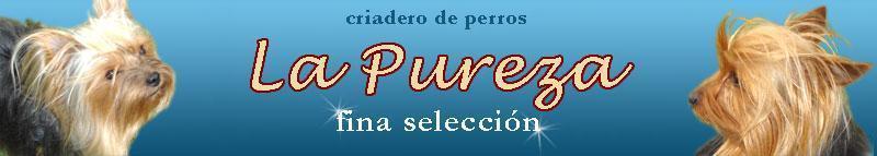 La Pureza - Fina Seleccion