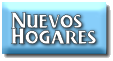 Vea a Nuestros Cachorros en Sus Nuesvos Hogares