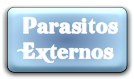 Regresar a Parásitos Externos